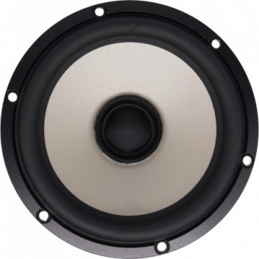 Excel C16N001/F - E0051-04/06-6 5" Magnesium Cone Coaxial Woofer